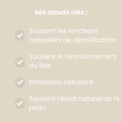 Glutathion Liposomal 300 mg 1 mois