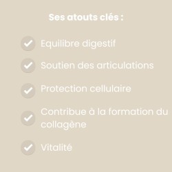 Curcumine et Poivre Noir 2 mois