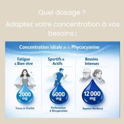 Phycocyanine 12 000 mg/L